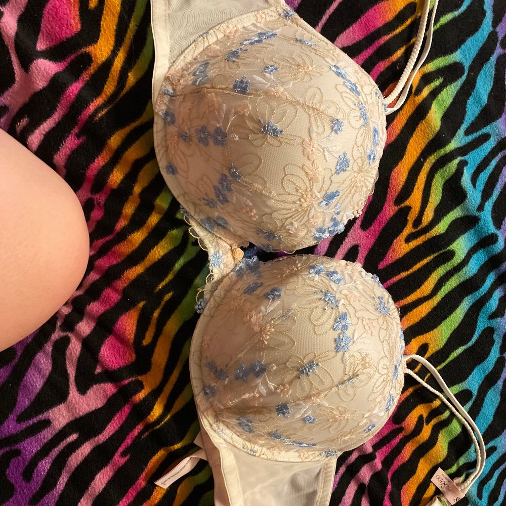 36DD Victoria's Secret Dream Angels Wildflower Embroidery Push-Up Bra